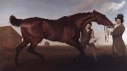 George Stubbs Hambletonian, Rubbing Down oil